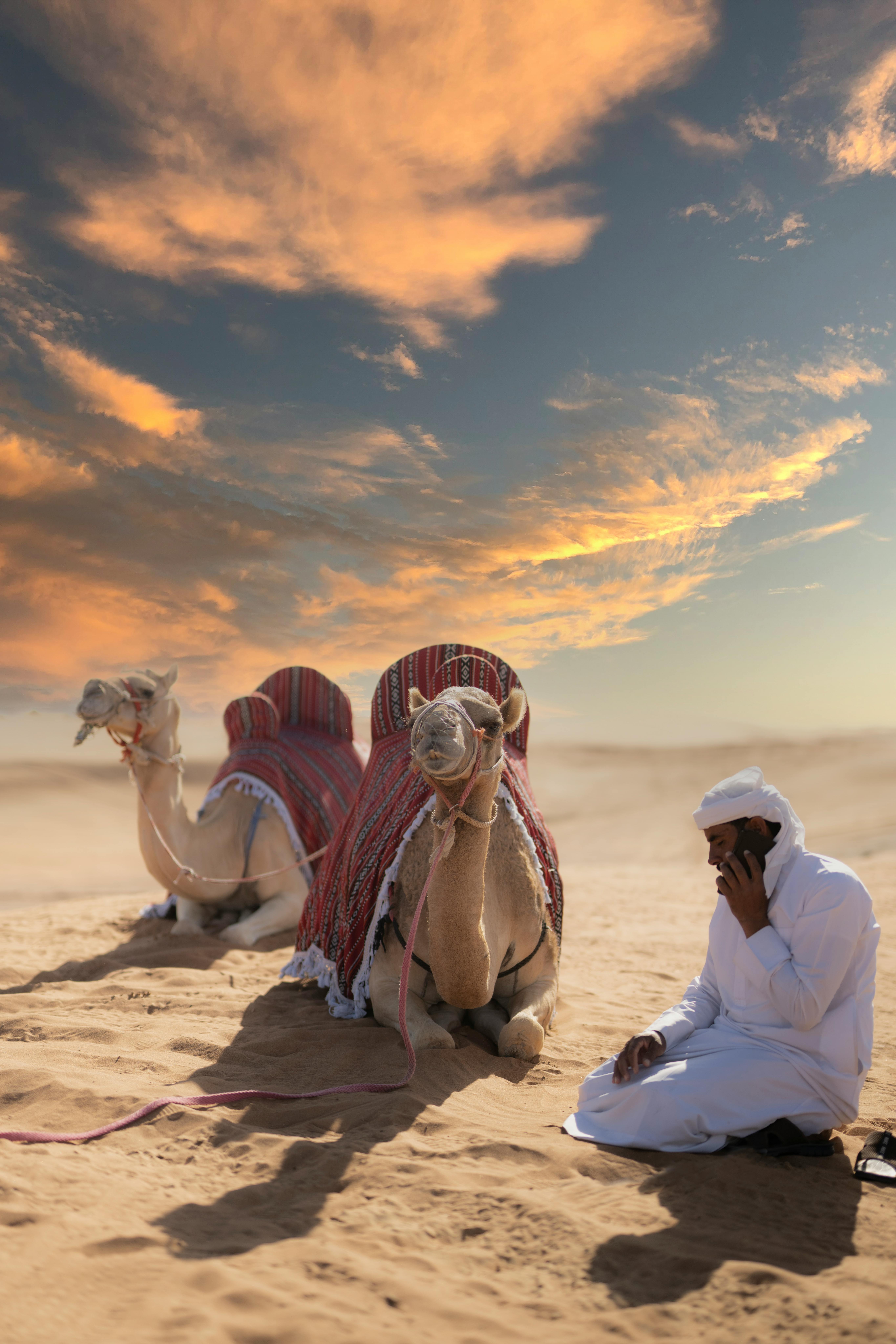 Evening Desert Safari